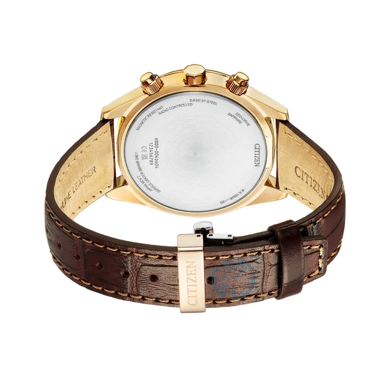 ساعت مچی مردانه سیتیزن CITIZEN AT8263-10H