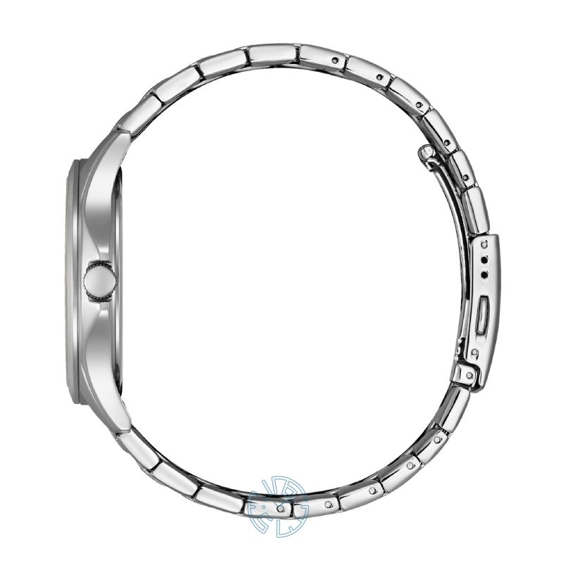 ساعت مچی مردانه سیتیزن CITIZEN BF2021-82A