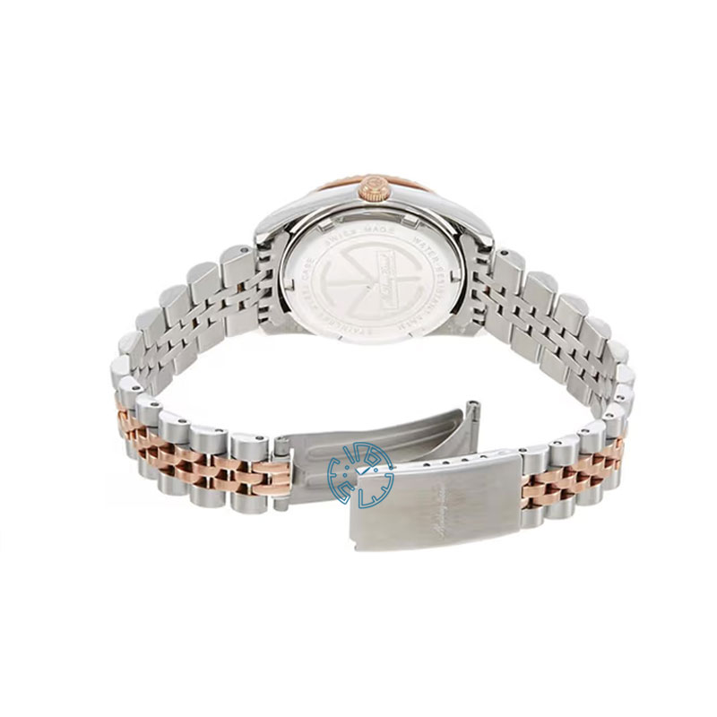 ساعت مچی زنانه متی تیسوت MATHEY TISSOT D810RV