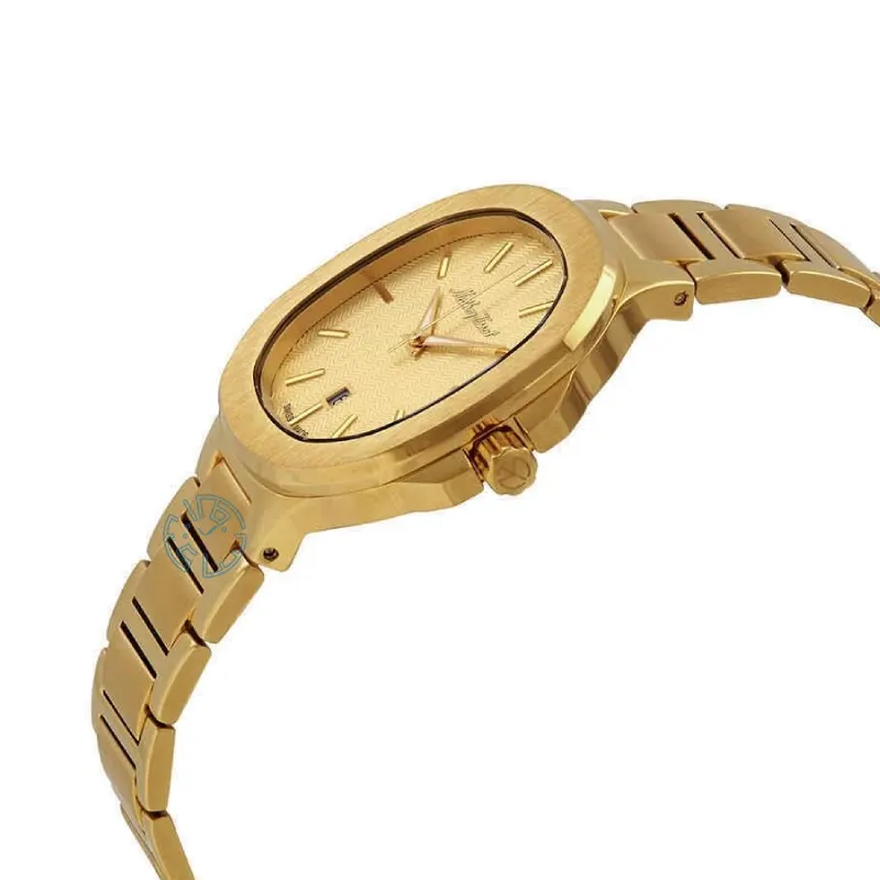 ساعت مچی مردانه متی تیسوت MATHEY TISSOT H152PDI